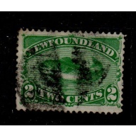 Newfoundland Sc 47 1896 2 c green Codfish stamp used