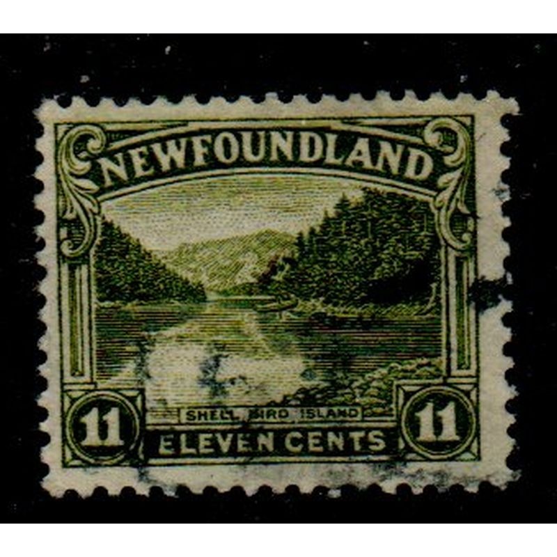 Newfoundland Sc 140 1923 11 c Shell Bird Island stamp used