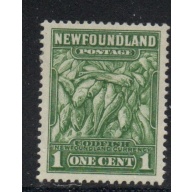 Newfoundland Sc 183 1932 1 c green Codfish stamp mint