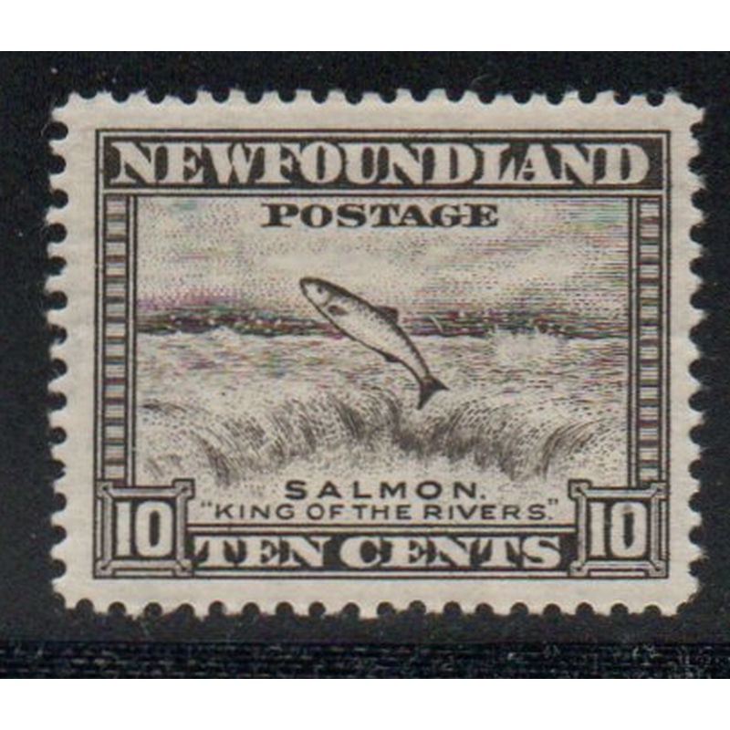 Newfoundland Sc 193 1932 10c olive black Salmon stamp mint