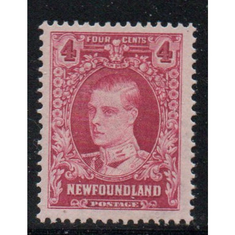 Newfoundland Sc 175 1931 4c rose Prince of Wales stamp mint  watermarked