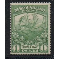 Newfoundland Sc 115 1919 1 c green caribou Sulva Bay stamp mint