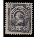 Newfoundland Sc 60 1891 3 c slate Victoria stamp mint