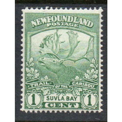 Newfoundland Sc 115 1919 1 c green Caribou Suvla Bay stamp mint