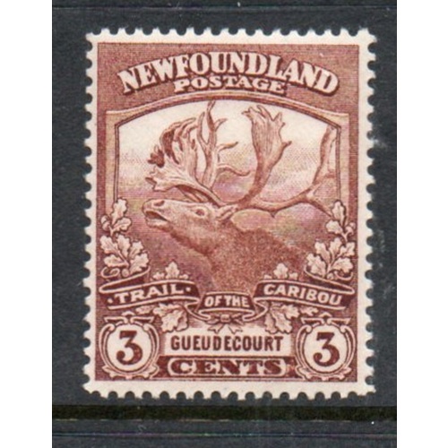Newfoundland Sc 116 1919 3 c red brown Caribou Gueudecourt stamp mint