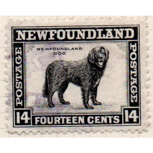 Newfoundland Sc 194 1932 14 c black Dog  stamp used