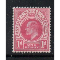 Natal Sc 82 1902 1 d rose Edward VII stamp mint