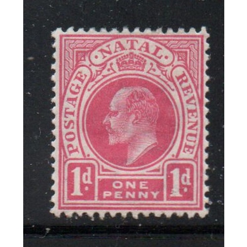 Natal Sc 82 1902 1 d rose Edward VII stamp mint