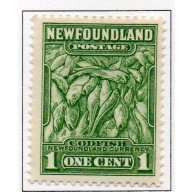 Newfoundland Sc 183 1932 cent green codfish stamp mint