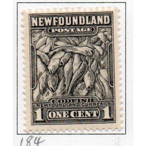 Newfoundland Sc 184 1932 cent gray black codfish stamp mint