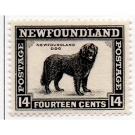 Newfoundland Sc 194 1932 14 cent intense black Dog stamp mint