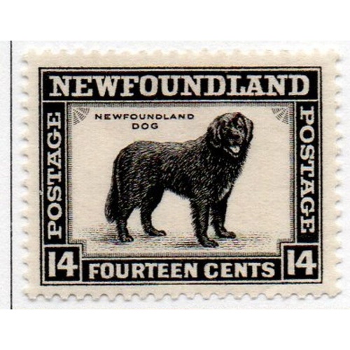 Newfoundland Sc 194 1932 14 cent intense black Dog stamp mint