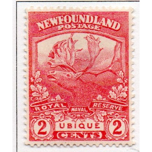 Newfoundland Sc 116 1919 2 c Caribou Ubique stamp mint