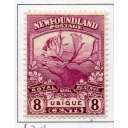 Newfoundland Sc 121 1919 8 c Caribou Ubique stamp mint