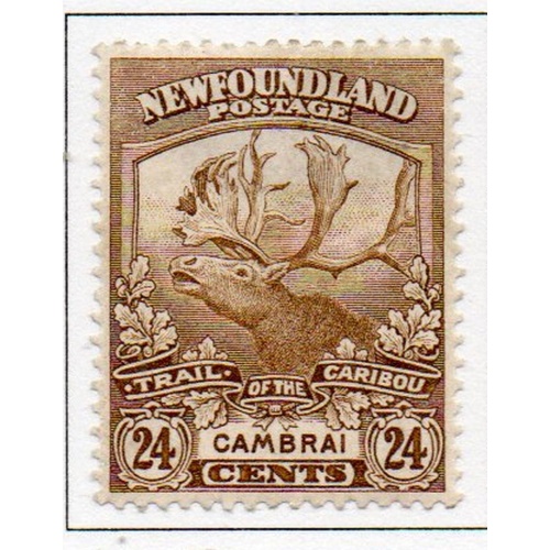 Newfoundland Sc 125 1919 24 c Caribou Cambrai stamp mint