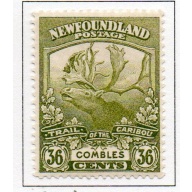 Newfoundland Sc 126 1919 36 c Caribou Combles stamp mint
