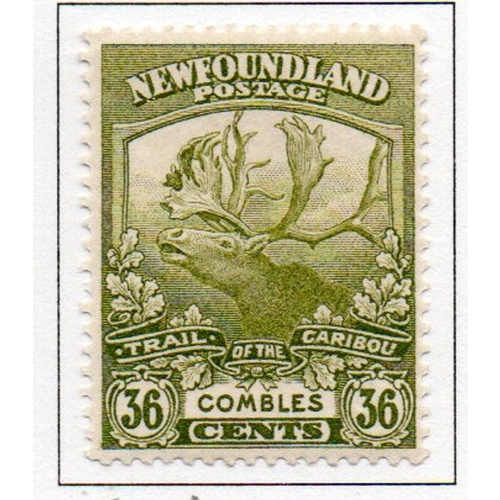 Newfoundland Sc 126 1919 36 c Caribou Combles stamp mint