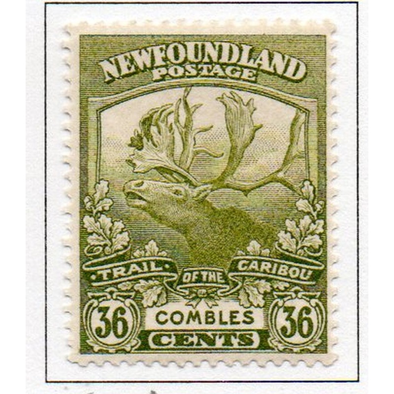 Newfoundland Sc 126 1919 36 c Caribou Combles stamp mint