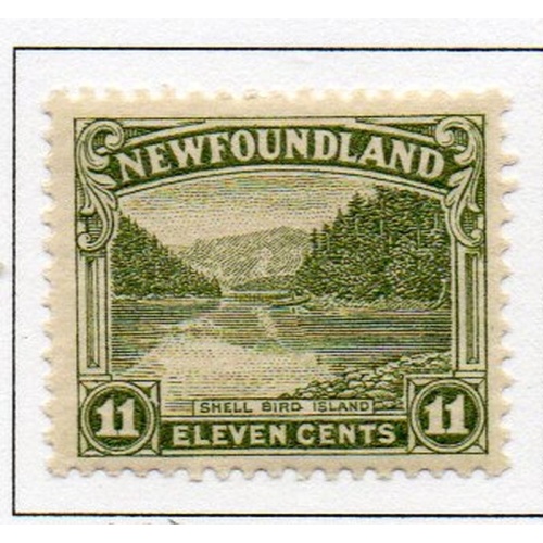 Newfoundland Sc 140 1923 11 c Shell Bird Island stamp mint