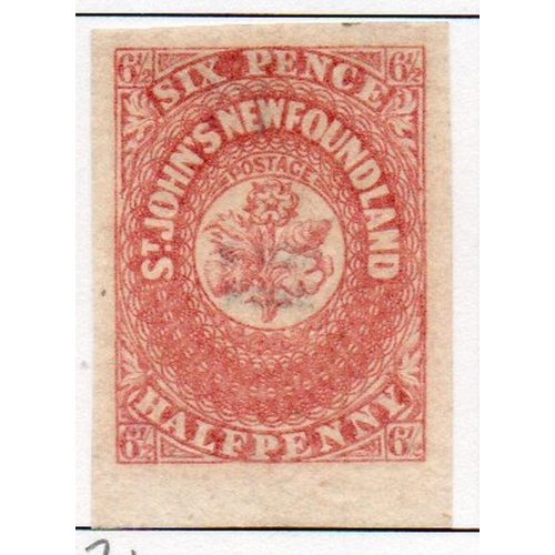 Newfoundland Sc 21  1861 6 1/2d rose  Flower stamp mint