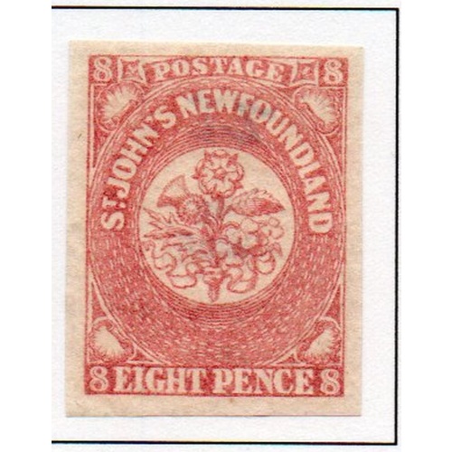 Newfoundland Sc 22  1861 8d rose  Flower stamp mint