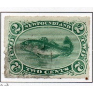 Newfoundland Sc 38 1879 2 c green Codfish stamp rouletted used