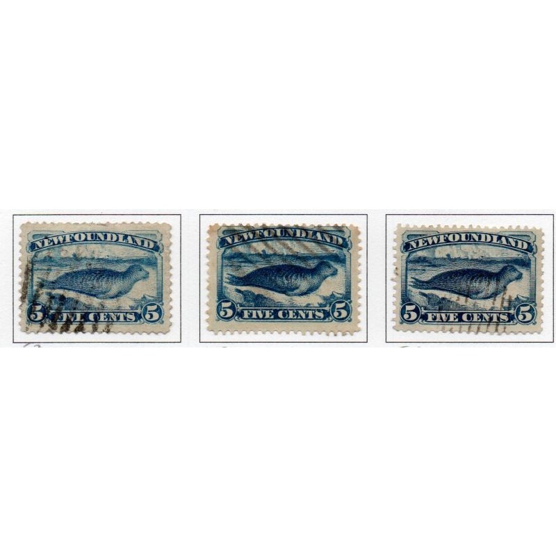 Newfoundland Sc 53-55 5 cent blue shades stamps used