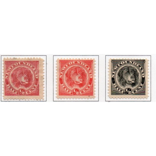 Newfoundland Sc 56-58 1888-1896 1/2 c Dog stamps mint