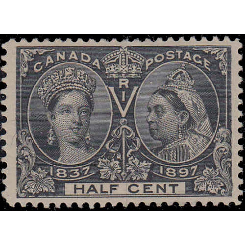 Canada #50 Very Fine Never Hinged