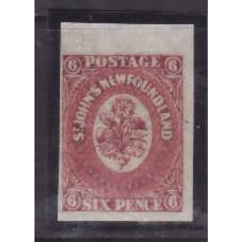 Newfoundland-Sc#20- id174-unused og VLH 6d imperforate-1861-2-