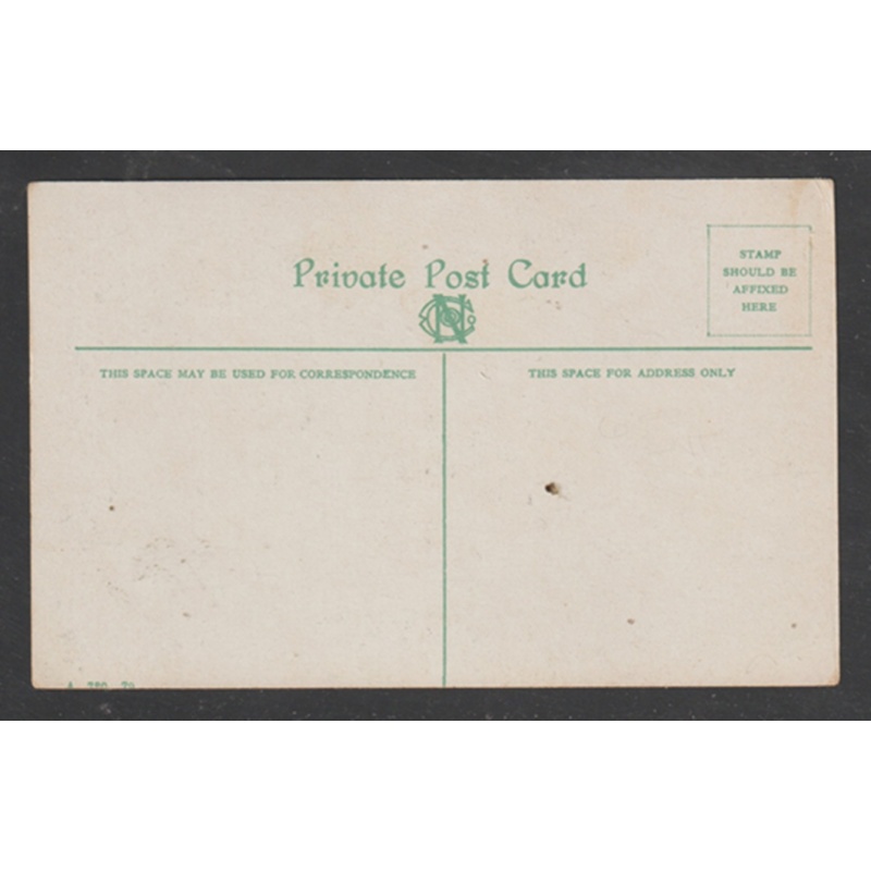 Postcard Oshawa Ontario (Ontario County) The Park Publisher Nerlich & Co.,  Unused