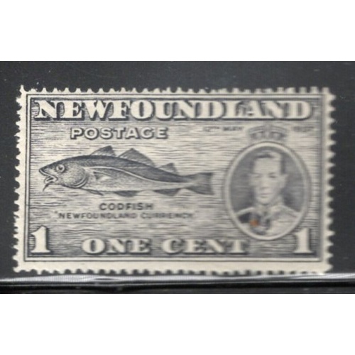 Newfoundland Sc 233 1937 1c Codfish and George VI stamp mint