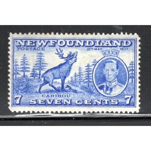 Newfoundland Sc 235 1937 7c bright ultramarine Caribou and George VI stamp mint