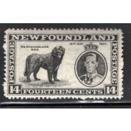 Newfoundland Sc 238 1937 14c black Dog and George VI stamp mint