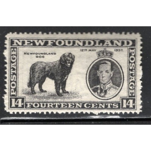 Newfoundland Sc 238 1937 14c black Dog and George VI stamp mint