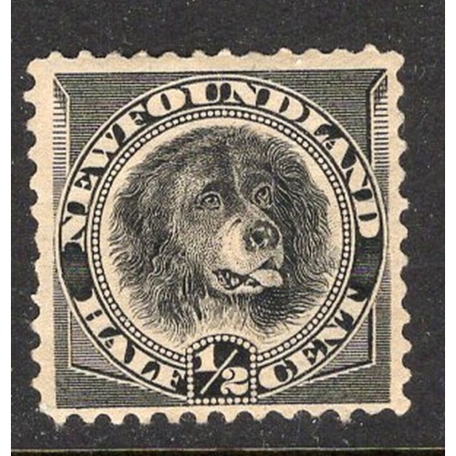 Newfoundland Sc 58 1894 1/2c black Dog stamp mint