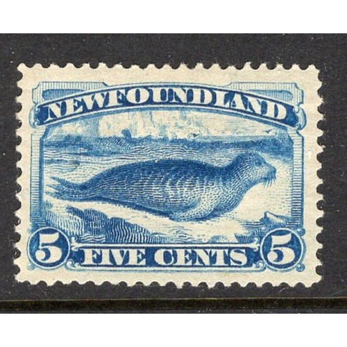 Newfoundland Sc 55 1894 5c bright blue seal  stamp mint