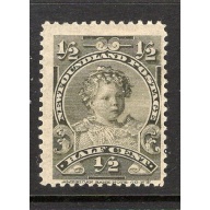 Newfoundland Sc 78 1897 1/2c Edward VII as a Child  stamp mint