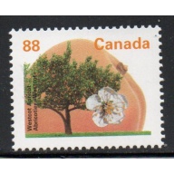 Canada Sc 1366 1995 52 c Gravenstein Apple stamp mint NH