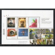 Canada Sc 2388 2010 Wildlife Photography stamp sheet mint NH