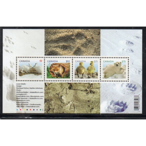 Canada Scott 2424 2011 Baby Wildlife stamp sheet mint NH