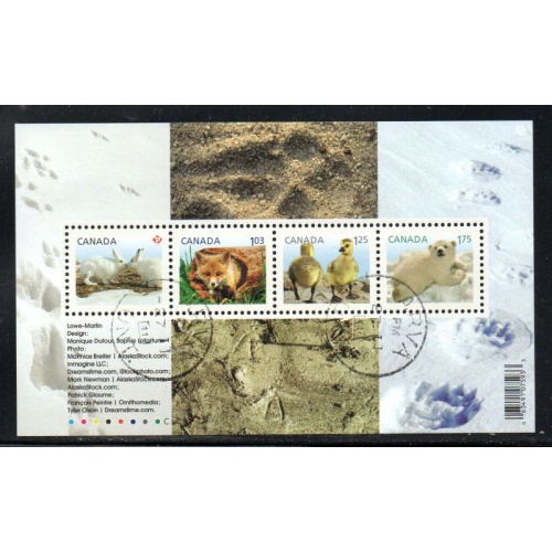 Canada Scott 2424 2011 Baby Wildlife stamp sheet used