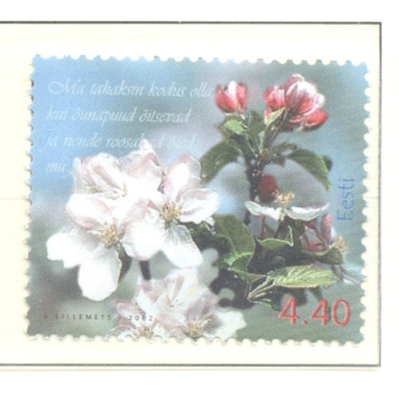 Estonia Sc 436 2002 Spring Flowers stamp  mint NH