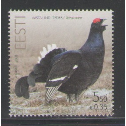 Estonia Sc 595 2008 Black Grouse  stamp mint NH