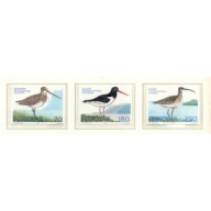Faroe Islands Sc 28-30 1977 Birds stamp set mint NH