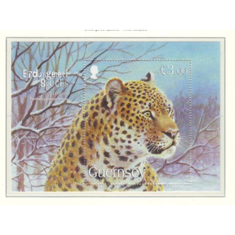 Guernsey Sc 1028 2009 Amur Leopard stamp sheet mint NH