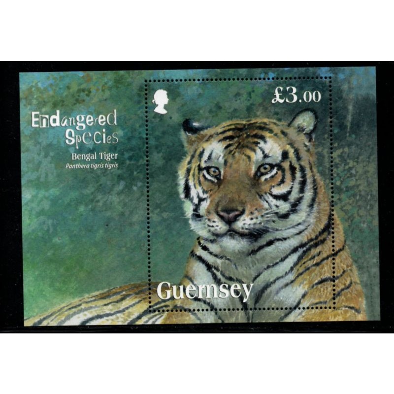 Guernsey Sc 1153 2012 Bengal Tiger stamp sheet mint NH