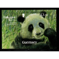 Guernsey Sc 1193 2013 Giant Panda  stamp sheet mint NH