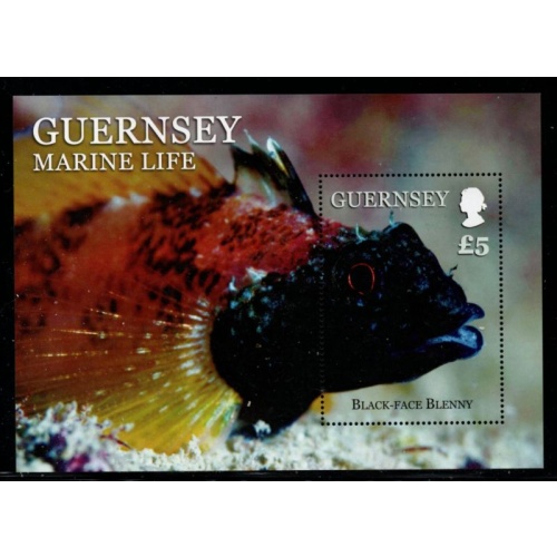 Guernsey Sc 1200 2013 Fish, Black-faced Blenny, stamp sheet mint NH