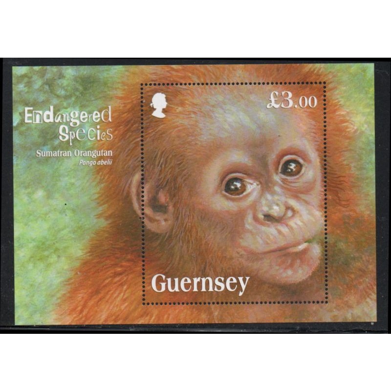 Guernsey Sc 1246 2014 Sumatran Orangutan stamp sheet mint NH